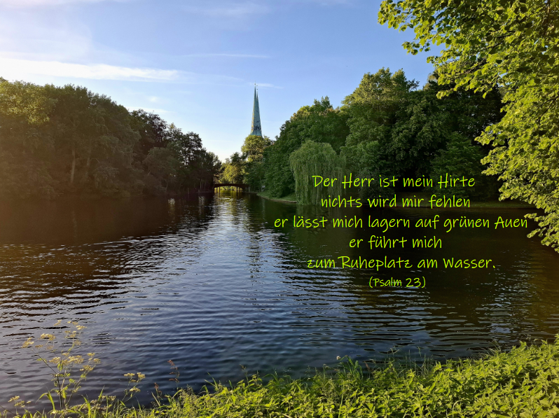Bild des Monats - Juli 2026