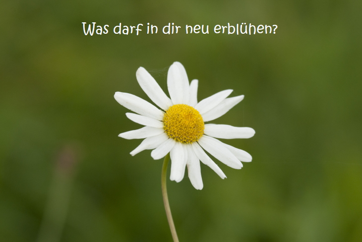 Bild des Monats - März