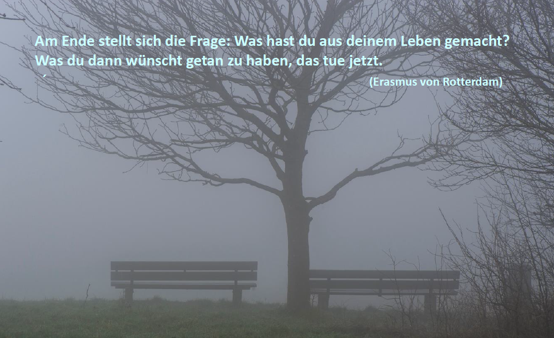 Bild des Monats - November 2025