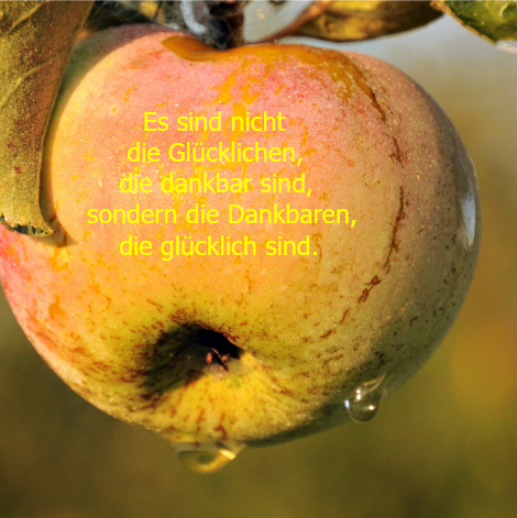 Bild des Monats - Oktober 2025