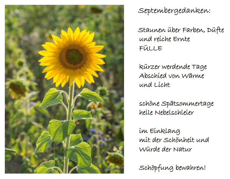 Bild des Monats - September 2025