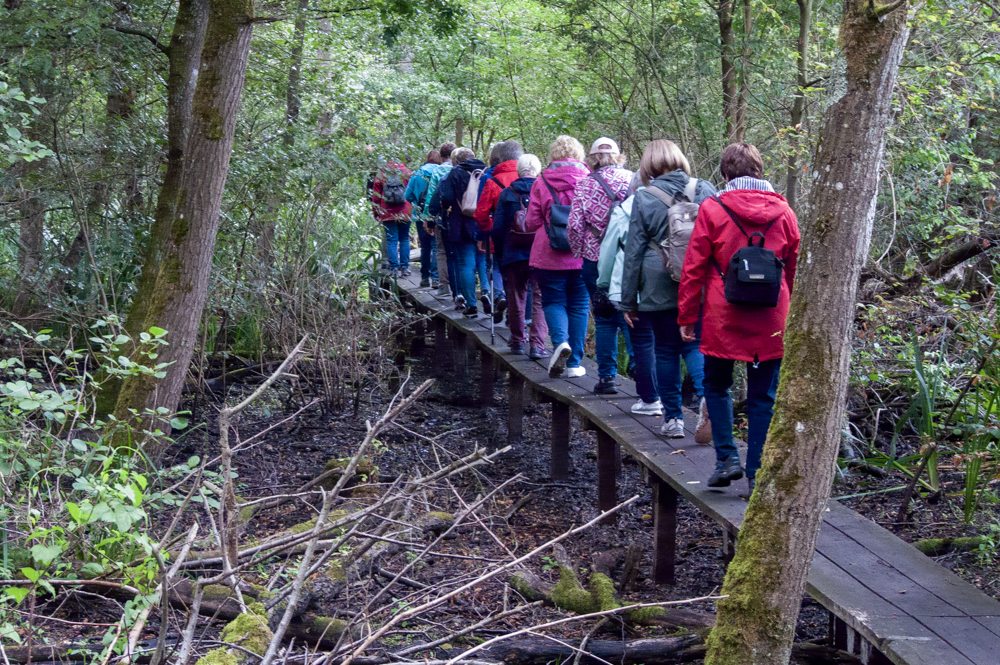 Moorwanderung Weingartener Moor